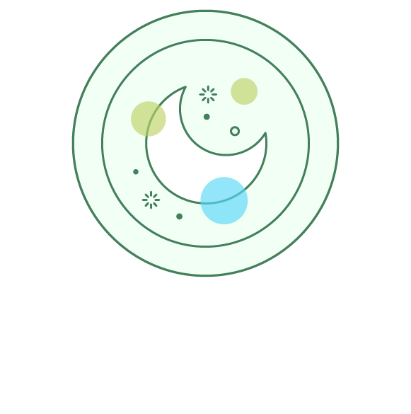 noche-02-verde-2@4x
